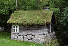 small house with a green roof