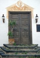 pot plant near the old door of the building