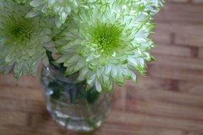 white flowers with green edges in a vase