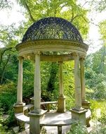 Pillars in the forest