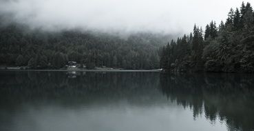 Landscape of Lakeside in a forest