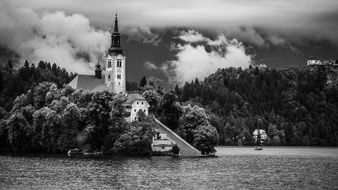 Black and white photo of the church on the hill among the plant