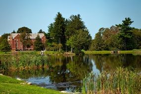 Pond near the University of Connecticut
