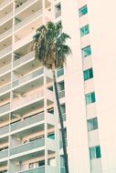 modern high-rise building