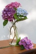 beautiful Flowers in Vase