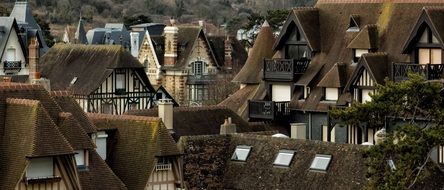 tiled Roofs covered with moss, France, Deauville