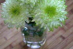 white flowers with a green middle in a vase