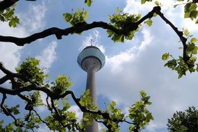 view through the trees to the tv tower in dusseldorf