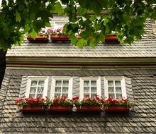 flower boxes on the front of the house