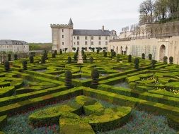 Beautiful garden near the historical castle