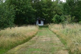 Path to the house in a meadow