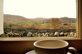 a Cup of coffee by the window with a gorgeous rural landscape