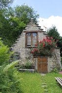 Flowers on the house