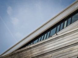 pigeons on the modern building