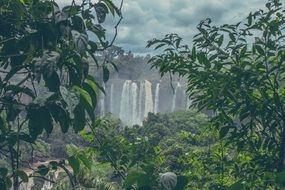 Iguazu falls in the rainforest Brazil