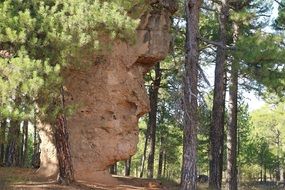 stone in the form of a male face in the forest