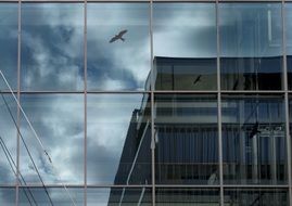 reflection of a building in the facade of an office building