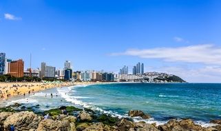 Coast of South Korea in summer