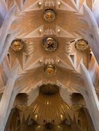 ceiling of the Cathedral Sagrada FamÃ­lia in Barcelona