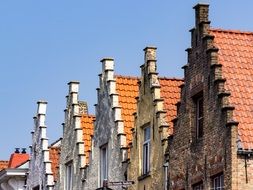 roofs with cloves on the building