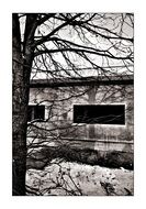 black and white photo of a bungalow