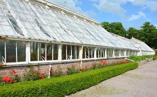 Old Greenhouse