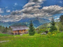 painted house on a green meadow