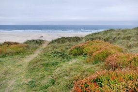sand dunes Penhale Sands view