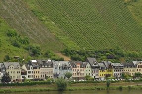 Houses near Moselle River, zell-am-mosel, germany