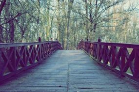 wooden bridge in spring park