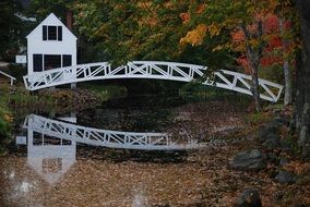 strikingly beautiful Bridge