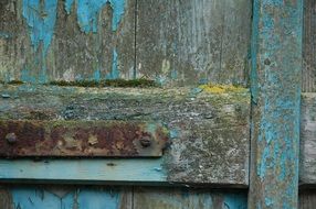 old wooden door with paint