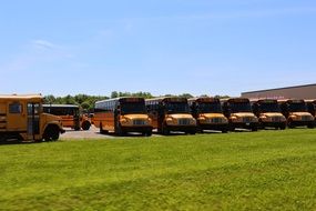 school buses stand in a row