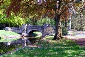 Park Bridge Landscape