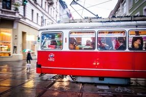 red tram on the street in Vienna