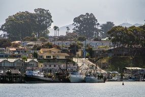 landscape of villas on hill and boats at pier, tropical seashore, usa, California, Morro Bay