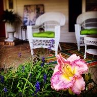 Porch Flower