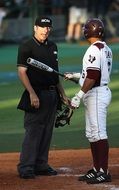 Baseball Umpire Player