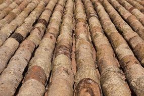 red tiles on the roof