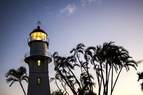 Lighthouse and palm trees at Dusk, usa, Hawaii, Oâahu