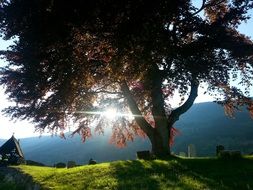 landscape of aged Graveyard near Church at sunny morning