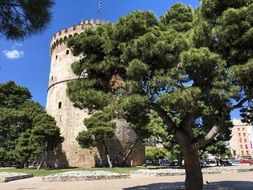 White Tower among the plants in Thessaloniki, Greece