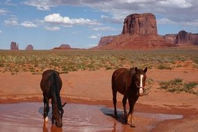 Monument Valley in the National Park