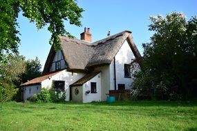 thatched roof cottage, england