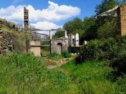 ruins of an abandoned house among nature