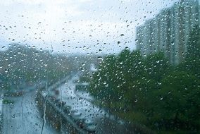 Rain drops on a window