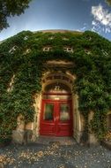 house in greenery in Berlin