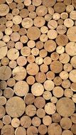 wood texture as background