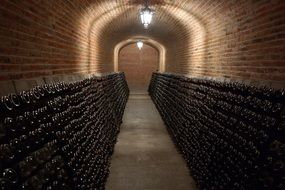 shelves with bottles of wine in a wine cellar