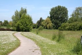 winding road in the countryside